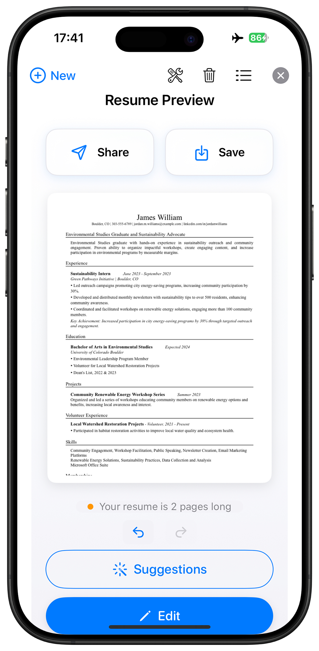 Download Professional Resume Screenshot - PDF and DOCX export options